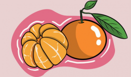 橘子动漫,青春校园的甜蜜旋律